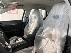 بي واي دي ديستروير 05